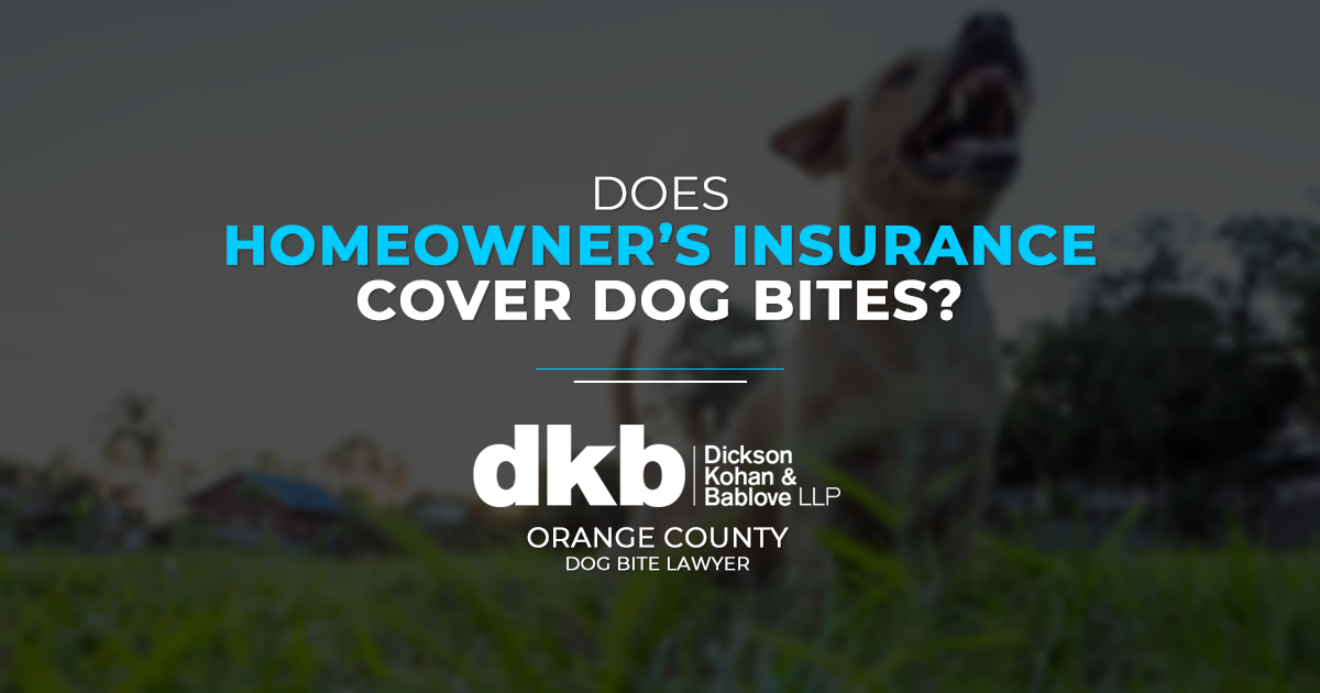 does-homeowners-insurance-cover-dog-bites-kohan-bablove-injury